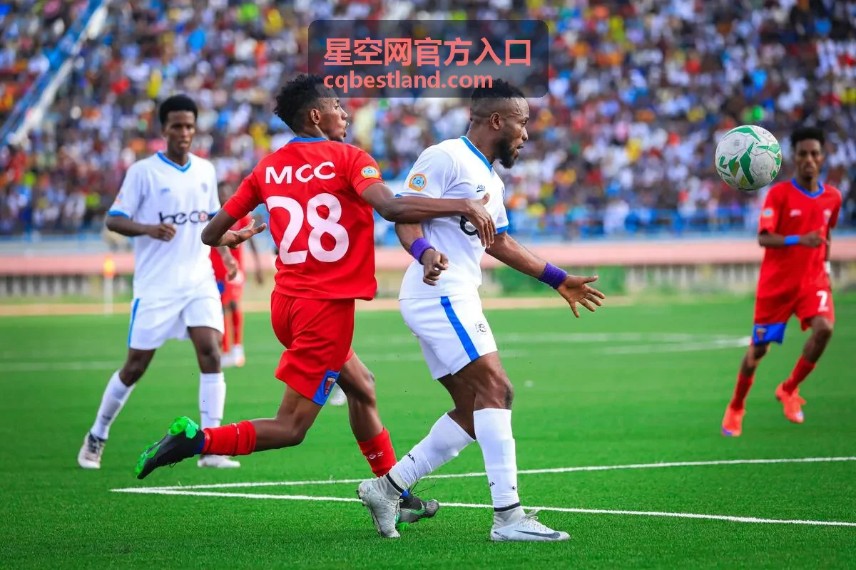 星空网官方入口官方通道指引栏目配图