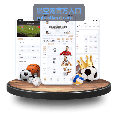 星空网官方入口账号验证环节的填写界面示意