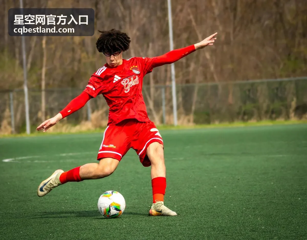 星空网官方入口安全与合规分类说明配图